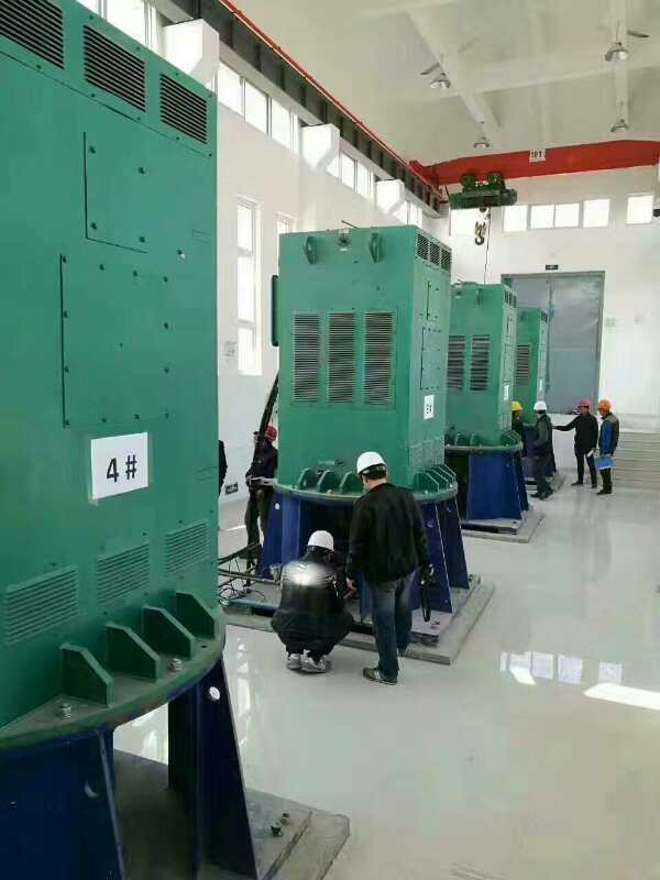 YKK7107-16某污水处理厂使用我厂的立式高压电机安装现场
