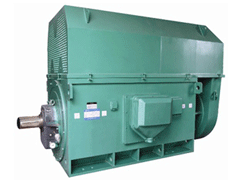 YKK7107-16Y系列6KV高压电机